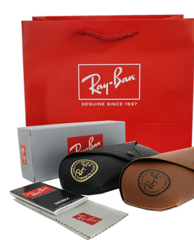 Lunette de Soleil Ray-Ban Wayfarer Blaze RB4440N 601/71