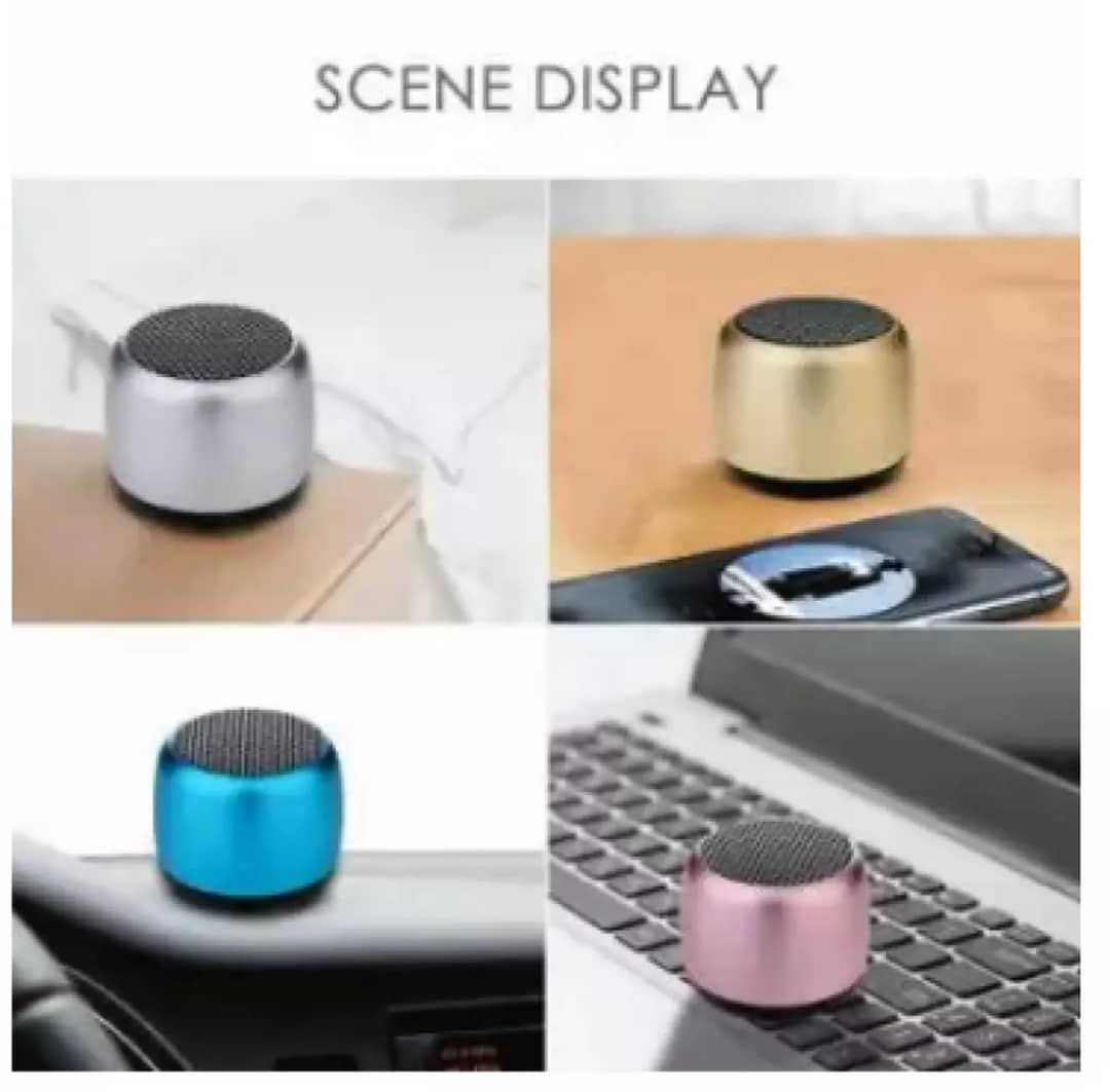 Mini Haut-Parleur Bluetooth